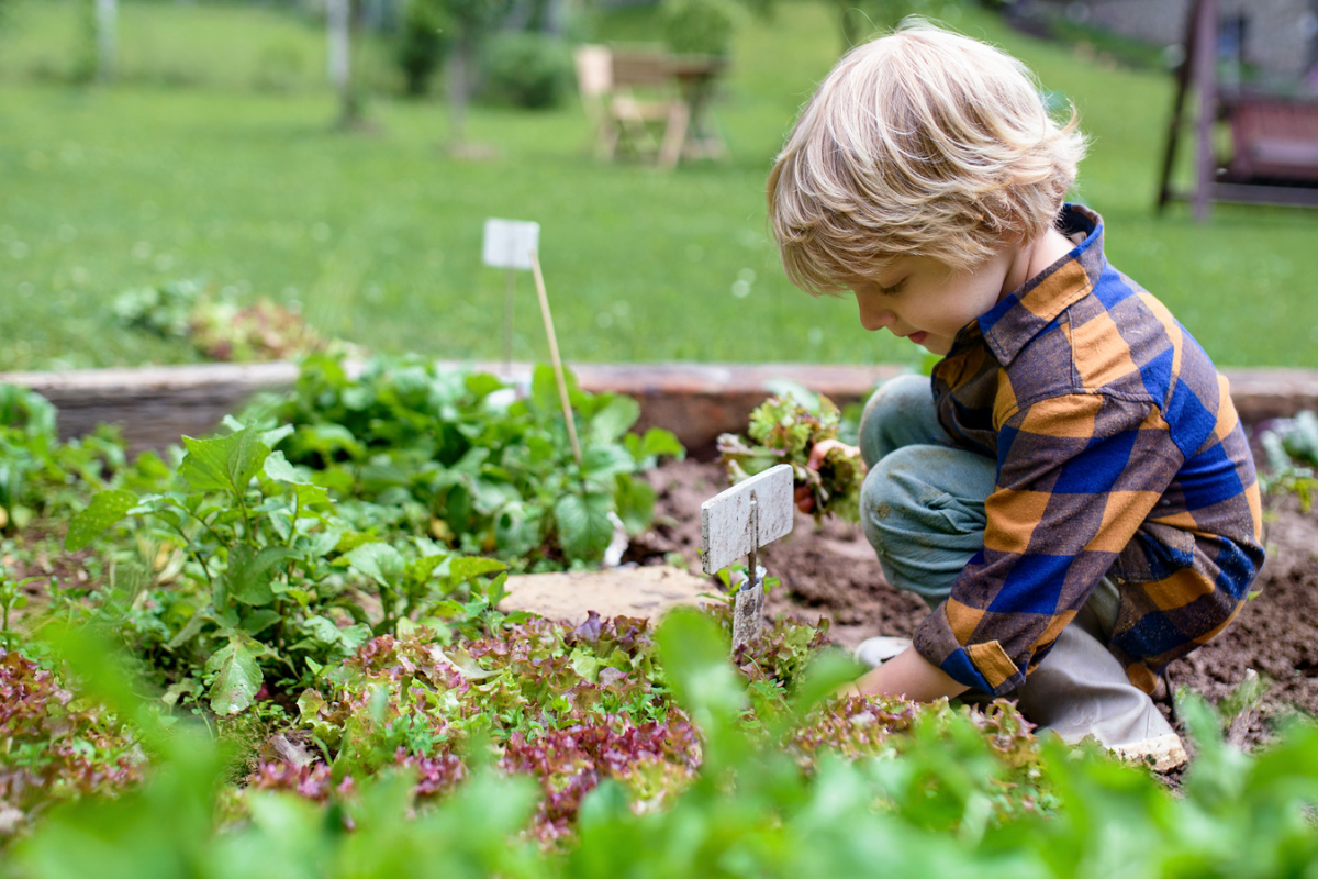 Kinderboeken over (moes-)tuinieren – kleinkinderen