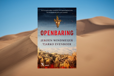Leuk boek: Ryevaar 1 - Openbaring van Jeroen Windmeijer en Tjarko Evenboer